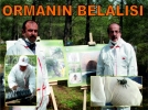 Ormann belals
