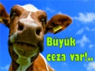 Byk ceza var