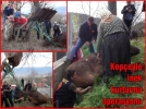 Kepeyle inek kurtarma operasyonu