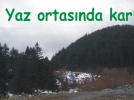 Yaz ortasnda kar