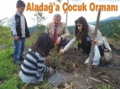 Alada'a ocuk Orman