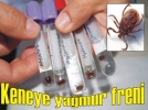 Keneye yamur freni