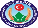 To Bir-Sen 10 yanda