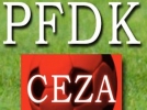PFDK ceza yadrd
