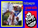 Faciadan klpay 5 yaral