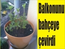 Balkonunu baheye evirdi