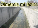 lmemiz mi lazm 