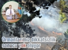 Ormanlarmz dikkatsizlik sonucu yok oluyor