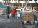 Tek dilekleri memleketleri