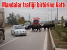 Mandalar trafii birbirine katt