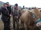 Mudurnu kurban satlarndan memnun deil