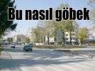 Bu nasl gbek