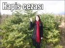 Hapis cezas