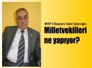 “Milletvekilleri ne yapyor?”