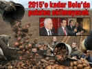 2015’e kadar Bolu’da patates ekilmeyecek