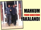 Mahkum fndk bahesinde yakaland