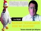 BAYRAM TAVUKLARIN SZE NE OLUYOR