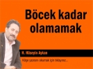 Bcek kadar olamamak