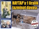 HAYTAP’a 1 liralk tazminat davas
