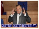 Hayvan sever hayvanlar!