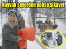 Hayvan severden polise ikayet