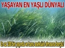 Yaayan en yal dnyal