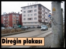 Direin plakas