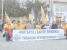 AKPnin dayatmac tutumunu protesto ediyoruz