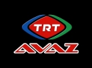 Bolu-Rize TRT Avazda
