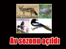 Av sezonu alyor