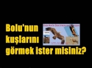Bolunun kularn grmek ister misiniz?