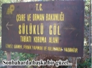 Sonbaharda baka gzel