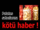 Patatesilere kt haber