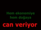 Hem ekonomiye hem doaya can veriyor