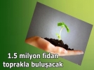 Bir buuk milyon fidan toprakla buluacak