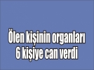 Organ nakliyle 6 kii hayata tutundu