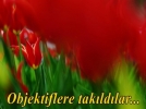 Objektiflere takldlar