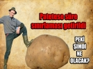 PATATES NASIL KURTULACAK?