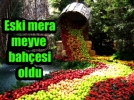 KARABERK MEYVE BAHES OLDU
