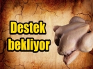 Beyaz Et reticileri Destek Bekliyor