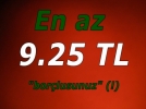 En az 9,25 TL borlusunuz