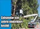 Elektrik tellerini dallardan kurtardlar