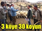 3 kye 30 koyun