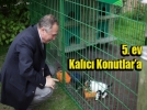 Beinci ev Kalc Konutlara