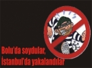 Okul hrszlar yakay ele verdi