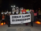 Boluda Berkin Elvan eylemi