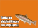 Trkiyenin alabal Boluda yetiecek