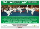 Taekwondo Yaz Okulu balad