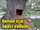 500 yllk aac define iin boalttlar