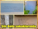 Bolu sokaklarnda iir izdiham